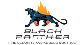 Black Panther Security